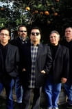 Los Lobos - Music Films with the actor Los Lobos