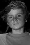 Arkady Markin - Actor Films with the actor Arkady Markin