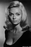 Barbara Steele - Actor Films with the actor Barbara Steele