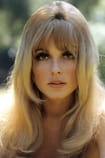 Sharon Tate - Actor Films with the actor Sharon Tate