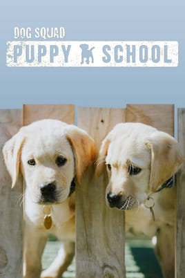 Watch Dog Squad Puppy School online