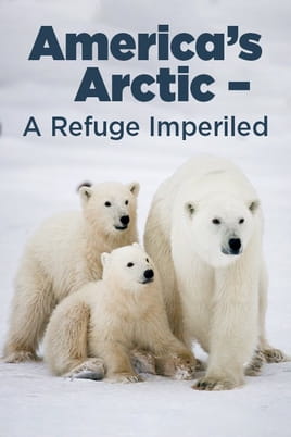 Watch America's Arctic: A Refuge Imperilled online