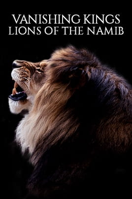 Watch Vanishing Kings: Lions of the Namib online