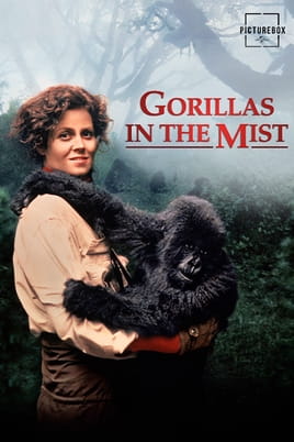 Watch Gorillas in the Mist online
