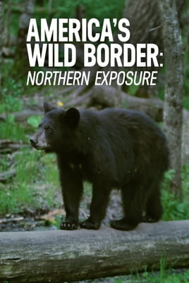 Watch America's Wild Border: Northern Exposure online