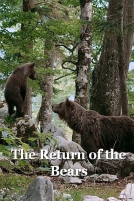 Watch The Return of the Bears online
