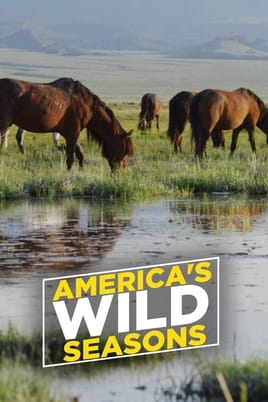 Watch America's Wild Seasons online