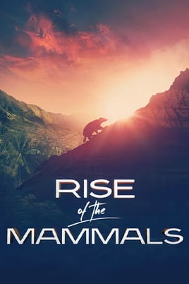 Watch Rise of the Mammals online