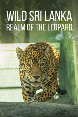 Watch Wild Sri Lanka: Realm Of The Leopard online