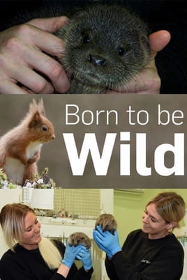 Watch Born to Be Wild online
