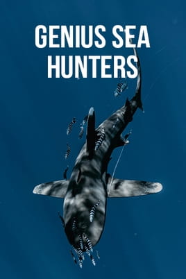 Watch Genius sea hunters online