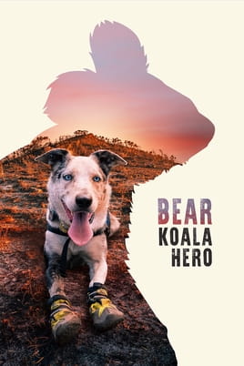 Watch Bear: Koala Hero online