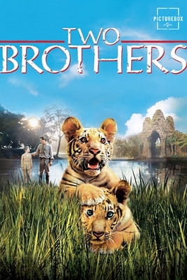 Watch Two Brothers online