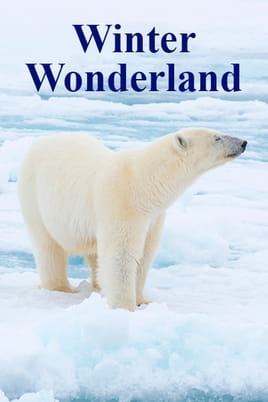 Watch Winter Wonderland online