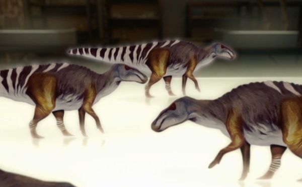 Secrets of the deadly Tyrannosaurus