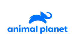 Animal Planet