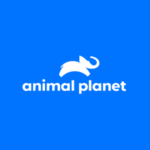 Animal Planet