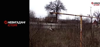 Невигадані історії. Війна. Початок.