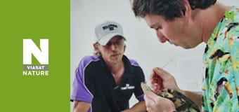 The Bizarre Pet Vets - Episode 1