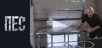 Пёс, Сезон 6, Серия 10