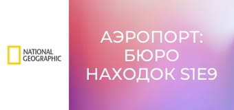 Аэропорт: бюро находок S1E9 - Бриллианты, деньги и дизайнерские платья