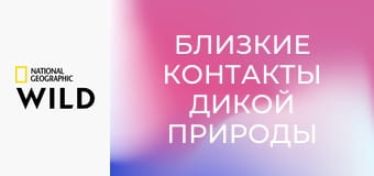 Близкие контакты дикой природы S1E4