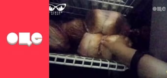 Таємний агент, 3 сезон, 1 еп.