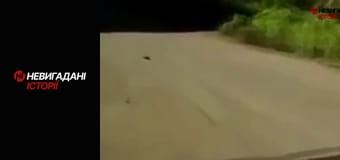 Невигадані історії. Війна. Початок.