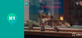 "Орел і Решка".