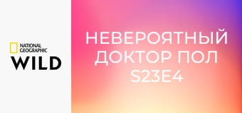 Невероятный доктор Пол S23E4