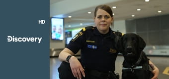 Пограничный контроль: Швеция S1E7 - Запрещенные продукты