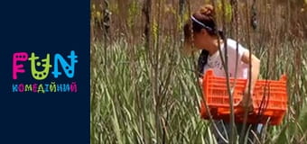 Заробітчани - Сезон 3 Випуск 19