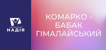 КоМарко - Бабак гімалайський