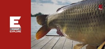 Короп-монстр - Сезон 5 - Угорщина