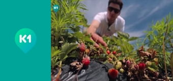 "Інший світ".