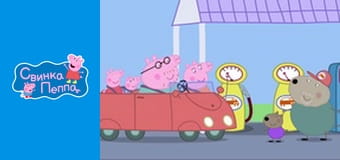 Grandpa Dog's car service