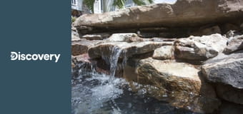 Невероятные бассейны S1E6 - Цветы жизни