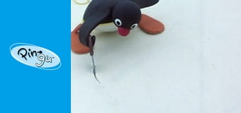 Pingu Sezon 3 Odcinek 18 Pingu Sezon 3 Odcinek 18
