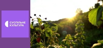 Гімн України.