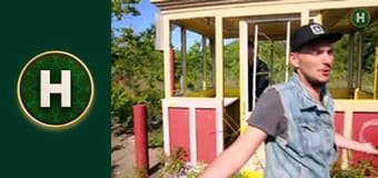 Латиноамериканський check-in