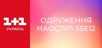 Одруження наосліп S5E12