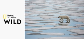 Снежная школа