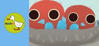 Nature Dudes - Birdy Eggs