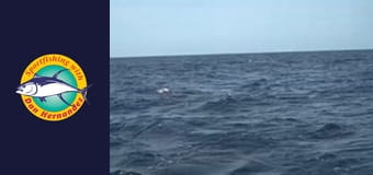 East Cape, part 1 East Cape, part 1