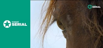 Д/с "Америка", 1 с.