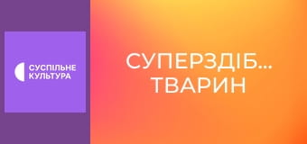 Д/с "Суперздібності тварин". "Зір".