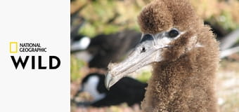 Просторы Америки S2E2 - Тайны Долины смерти