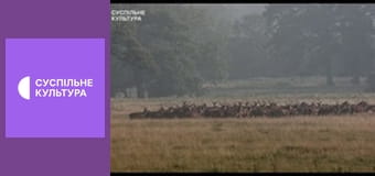 Х/ф "Посередник".