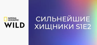 Сильнейшие хищники S1E2