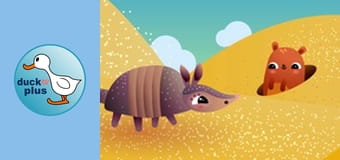 Home Sweet Home - Armadillo